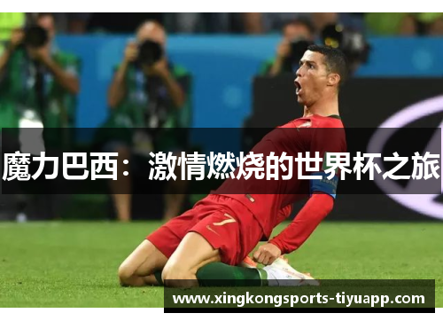 魔力巴西:激情燃烧的世界杯之旅