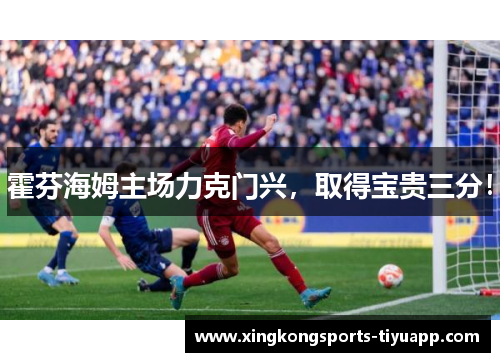 霍芬海姆主场力克门兴,取得宝贵三分!