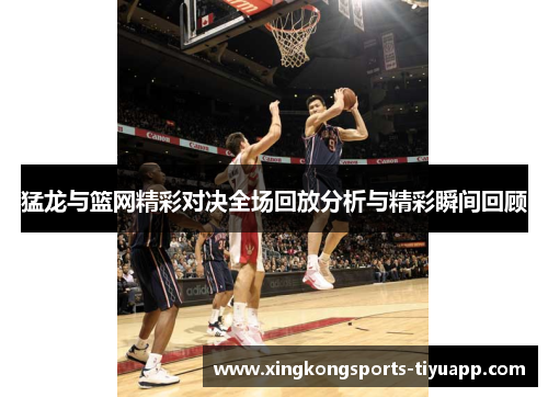 猛龙与篮网精彩对决全场回放分析与精彩瞬间回顾