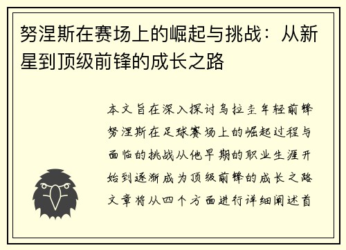 努涅斯在赛场上的崛起与挑战：从新星到顶级前锋的成长之路