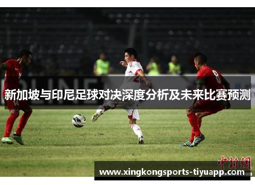 新加坡与印尼足球对决深度分析及未来比赛预测